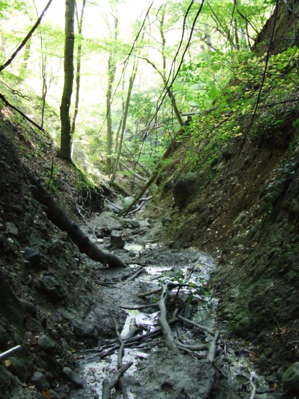 DSCF0760