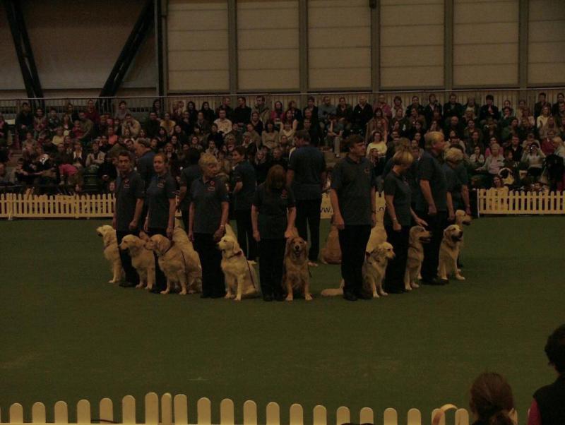 Southern Golden Retriever Society Display 12