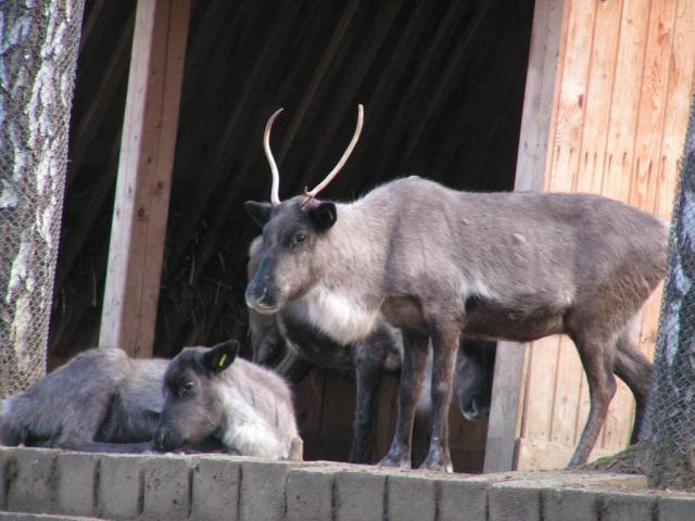 PICT1761.JPG