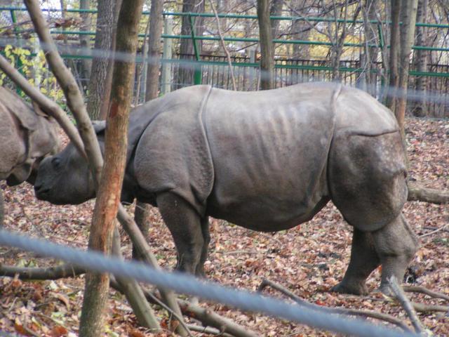 PICT1763.JPG