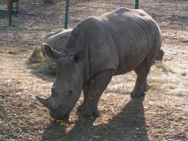 PICT1787.JPG