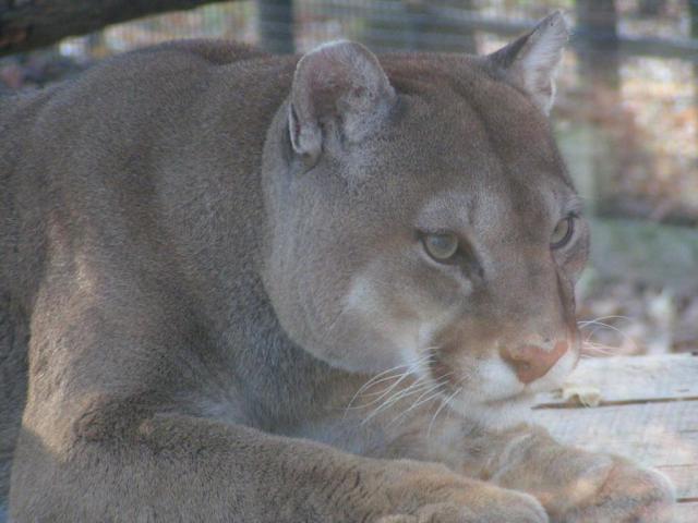 PICT1816.JPG