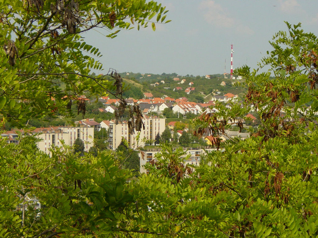 Szekszárdi lakótelep. Erre nőttem fel.