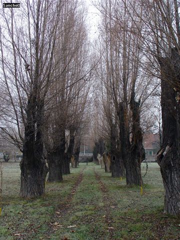 DSC04768