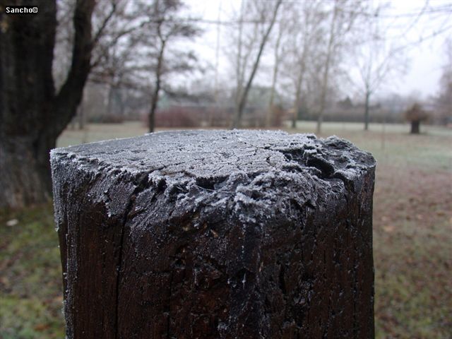 DSC04769