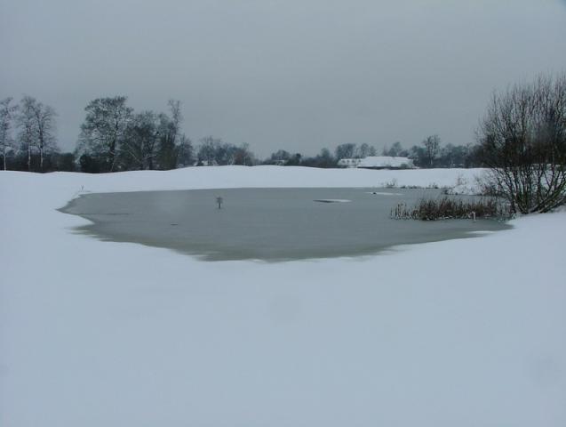 Snow covered lake