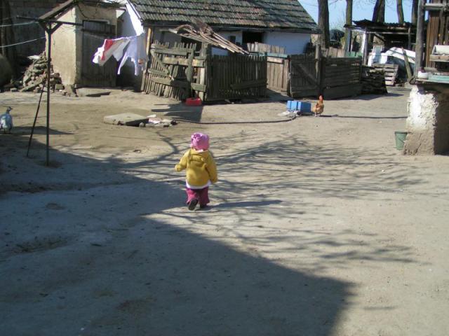 PICT2298.JPG