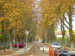 DSC00955