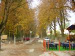 DSC00957