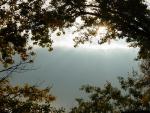 DSC00969