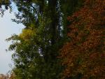 DSC00976