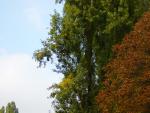 DSC00979