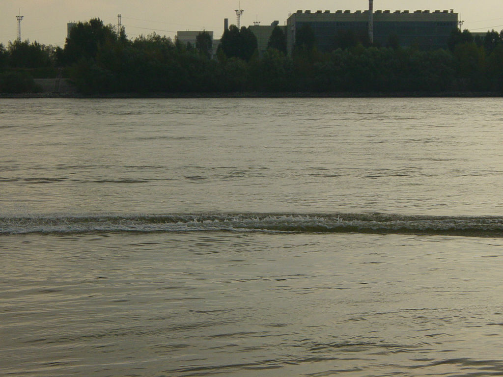 DSC01009