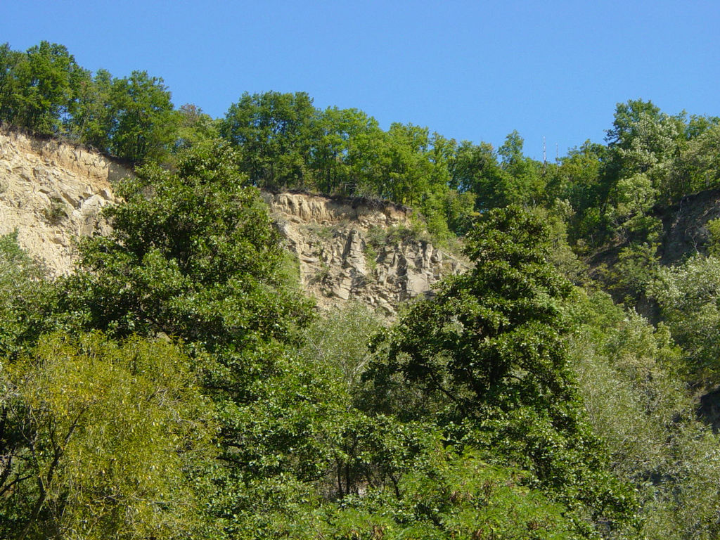 DSC01027