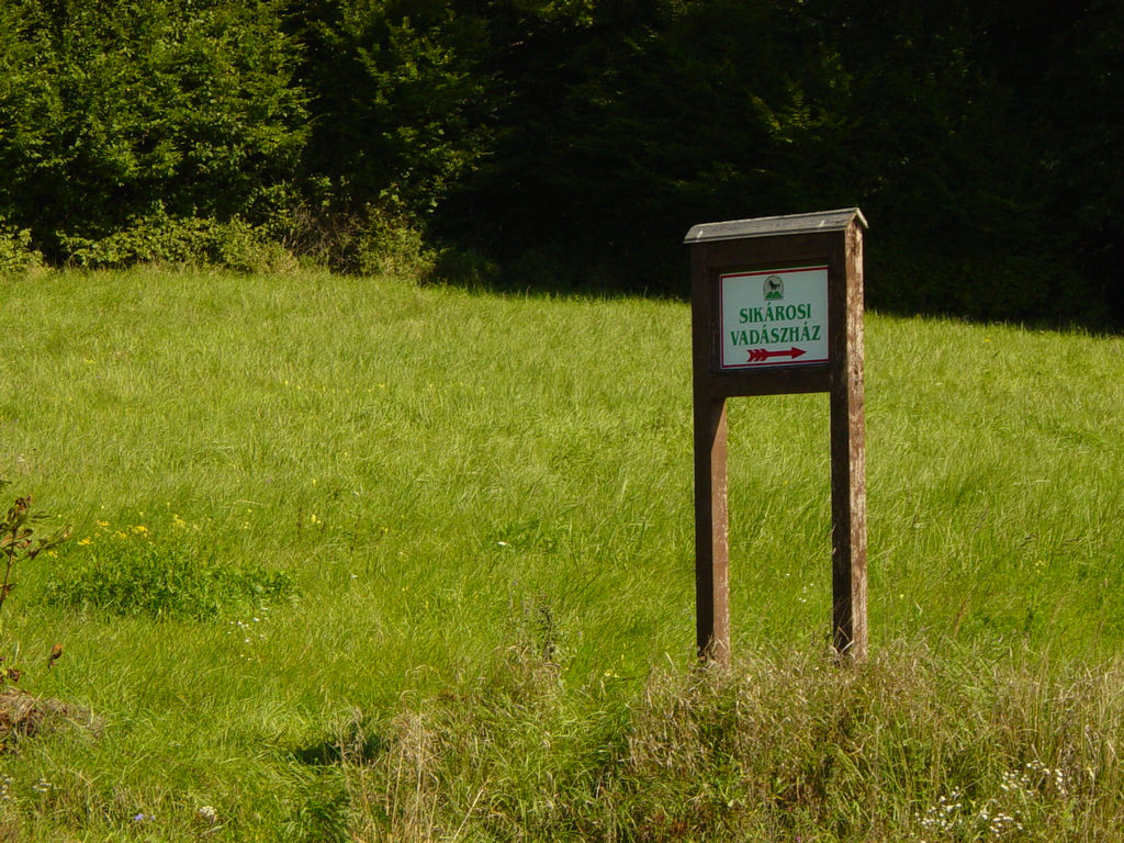 DSC01041