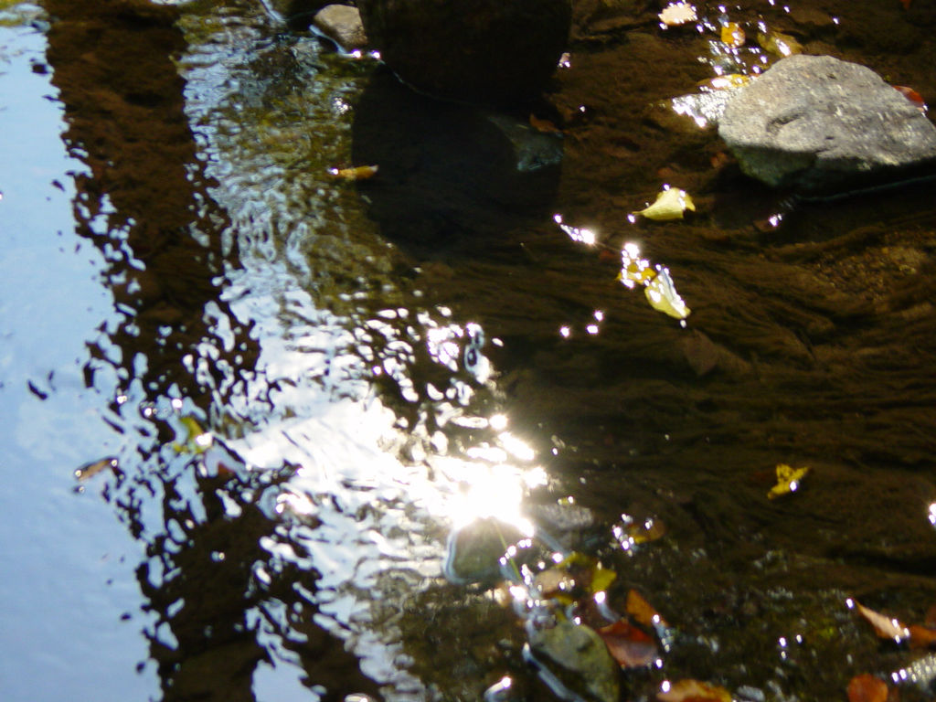 DSC01049