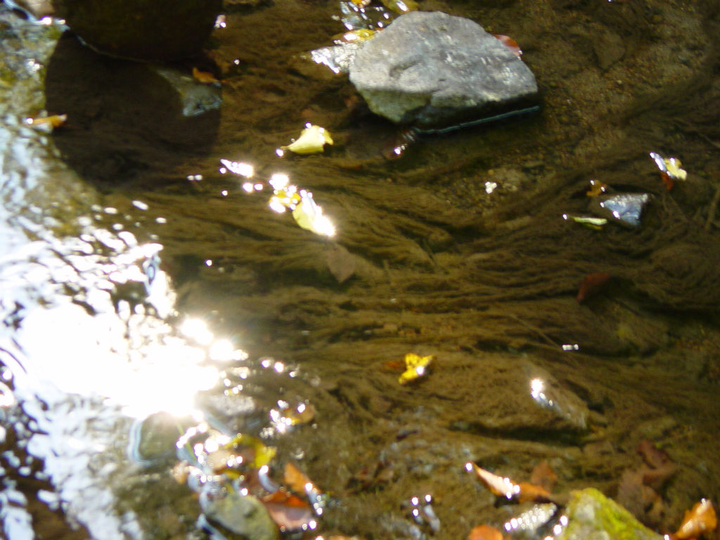 DSC01050