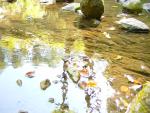 DSC01053