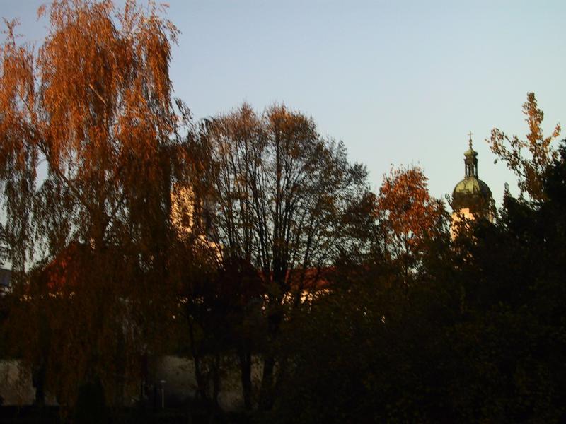 IMG_2977.JPG