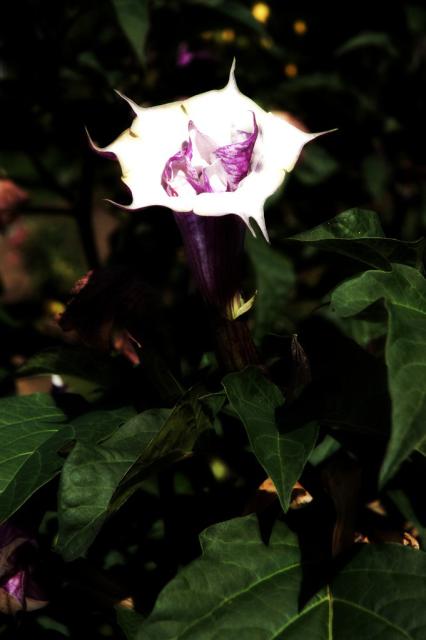 DSC_3407.jpg