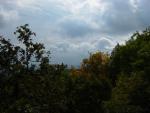 DSC01731
