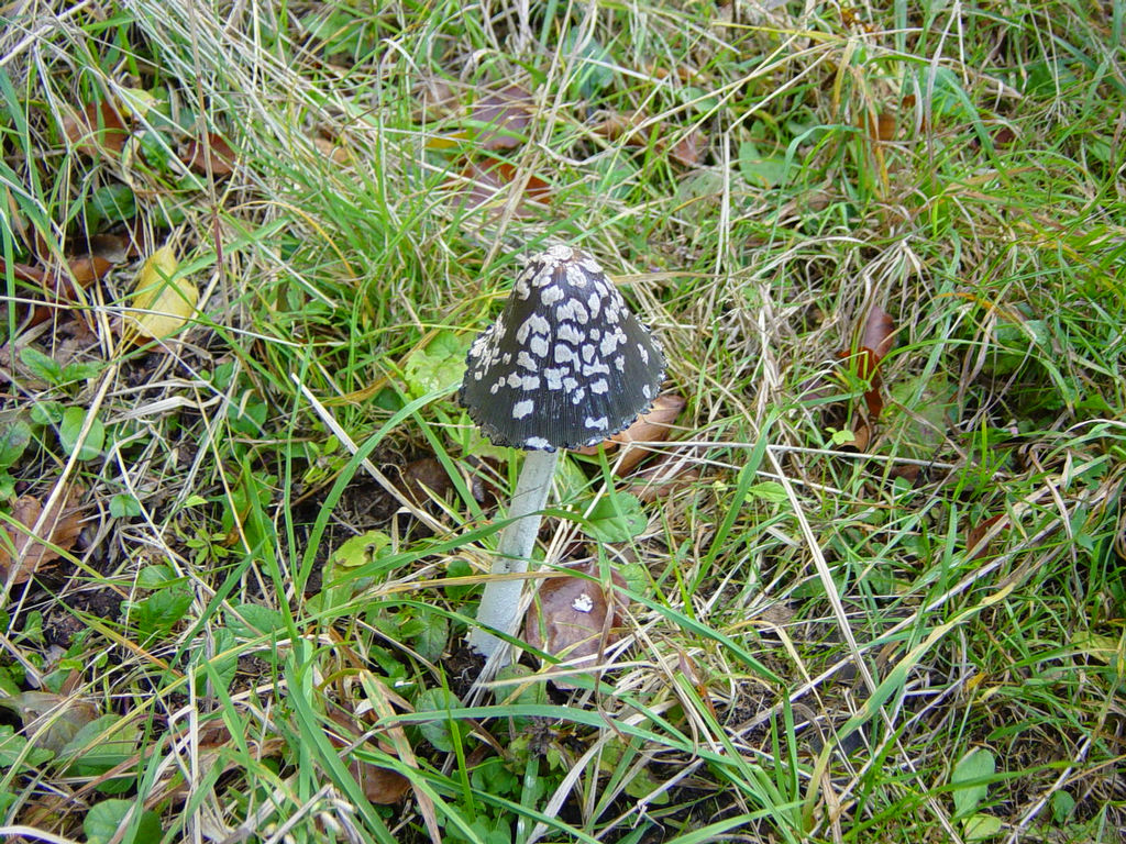 DSC01753