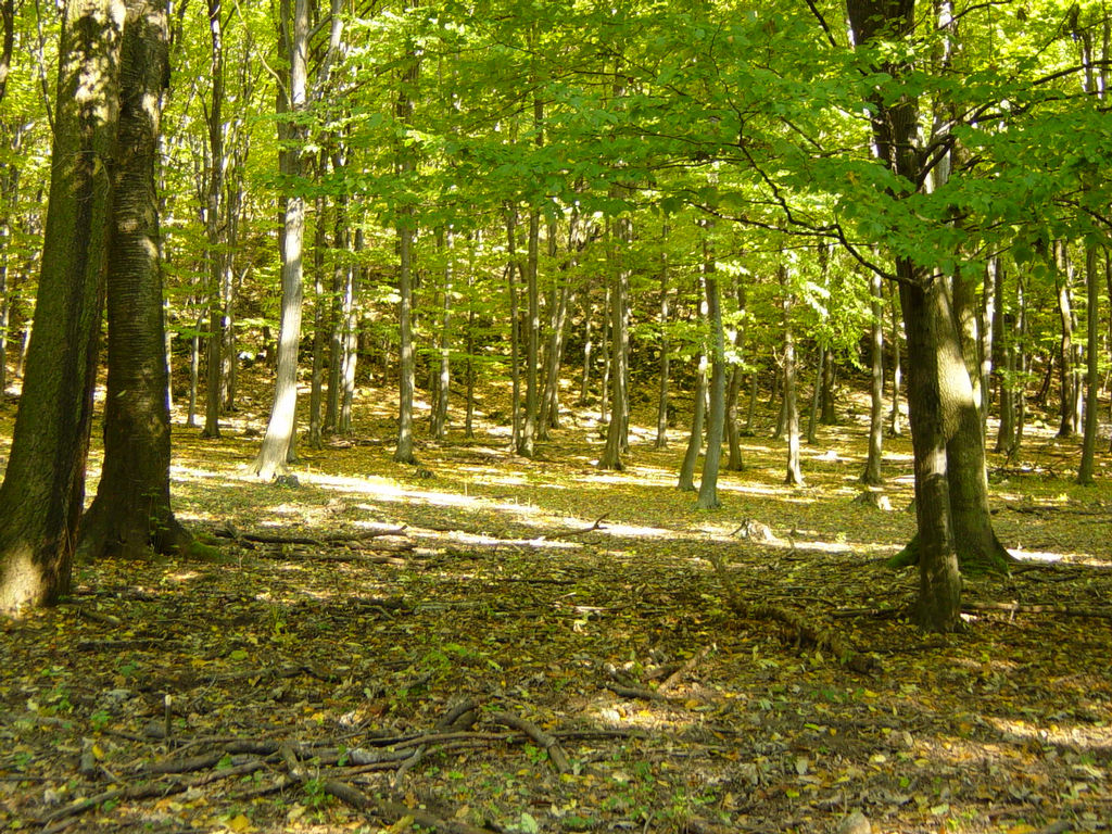 DSC01809