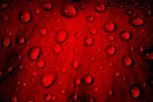 drops