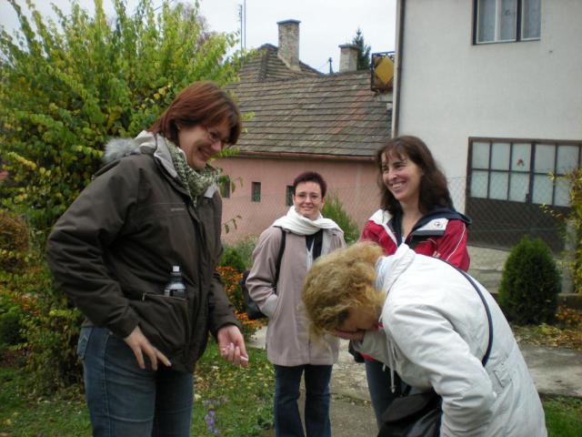 2008_11_23 125.jpg