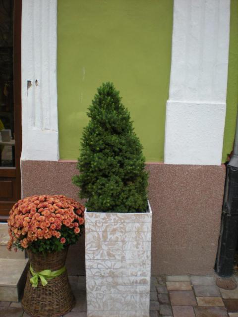 2008_11_23 144.jpg