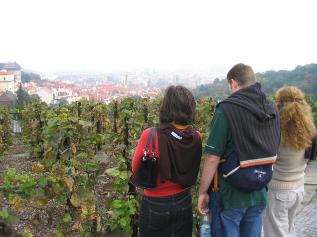 Kép 112.jpg