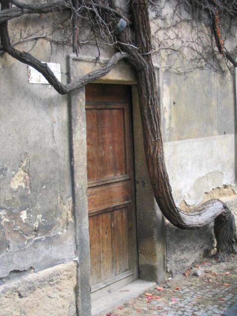 Kép 114.jpg