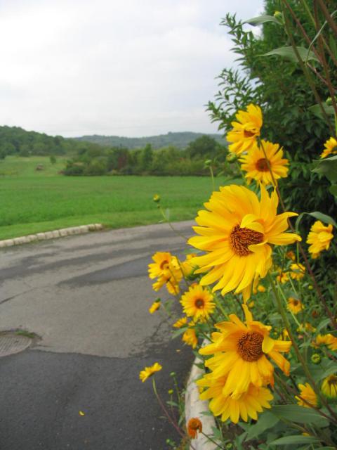 Kép 001.jpg
