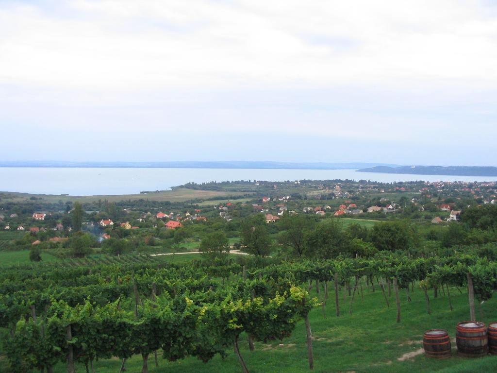Kép 041.jpg