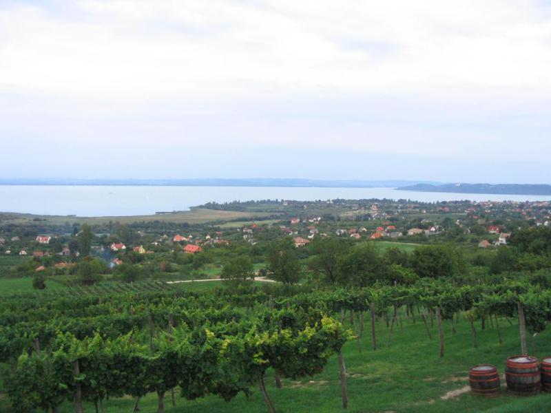 Kép 041.jpg