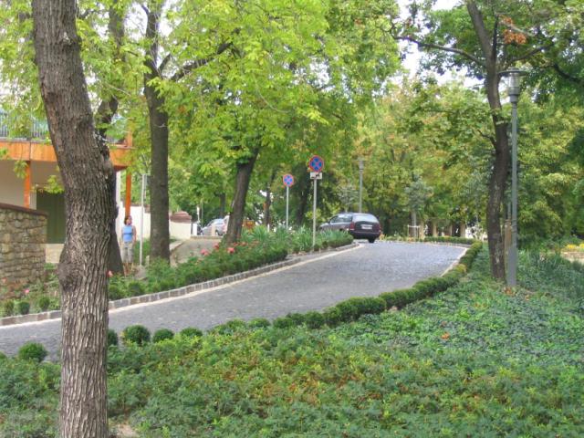 Kép 111.jpg