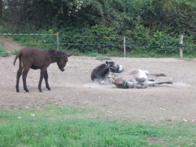 Kép 124.jpg