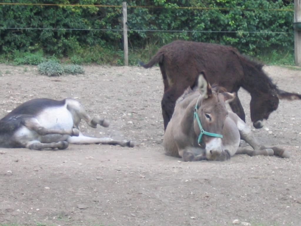 Kép 125.jpg