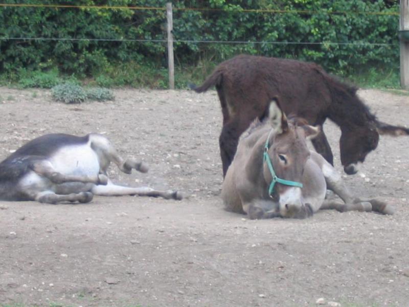Kép 125.jpg