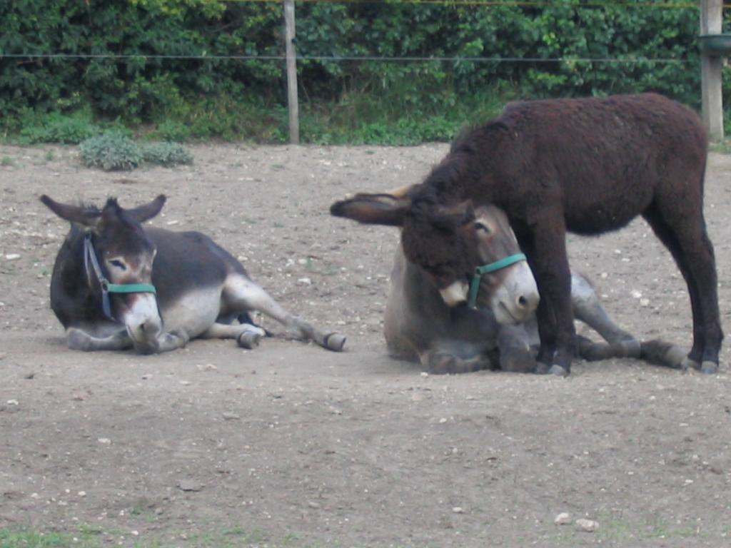 Kép 126.jpg