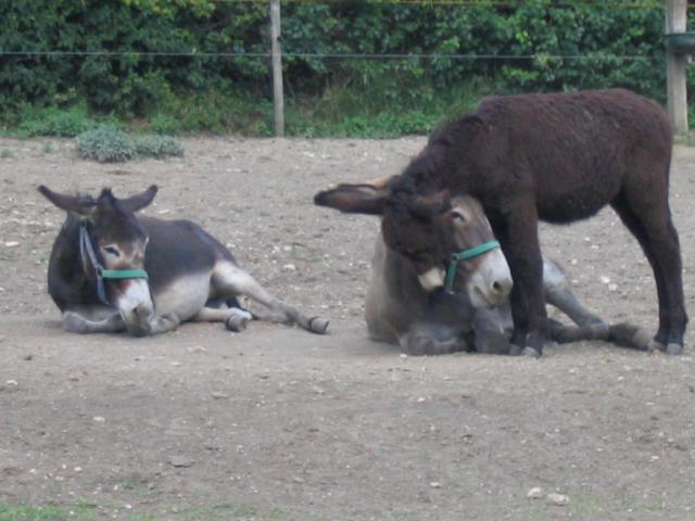 Kép 126.jpg