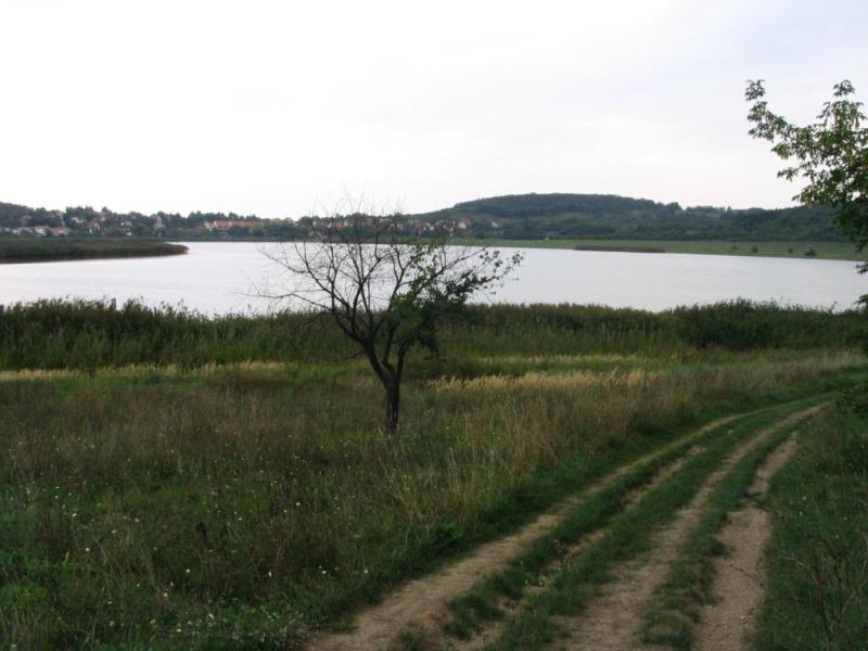 Kép 128.jpg