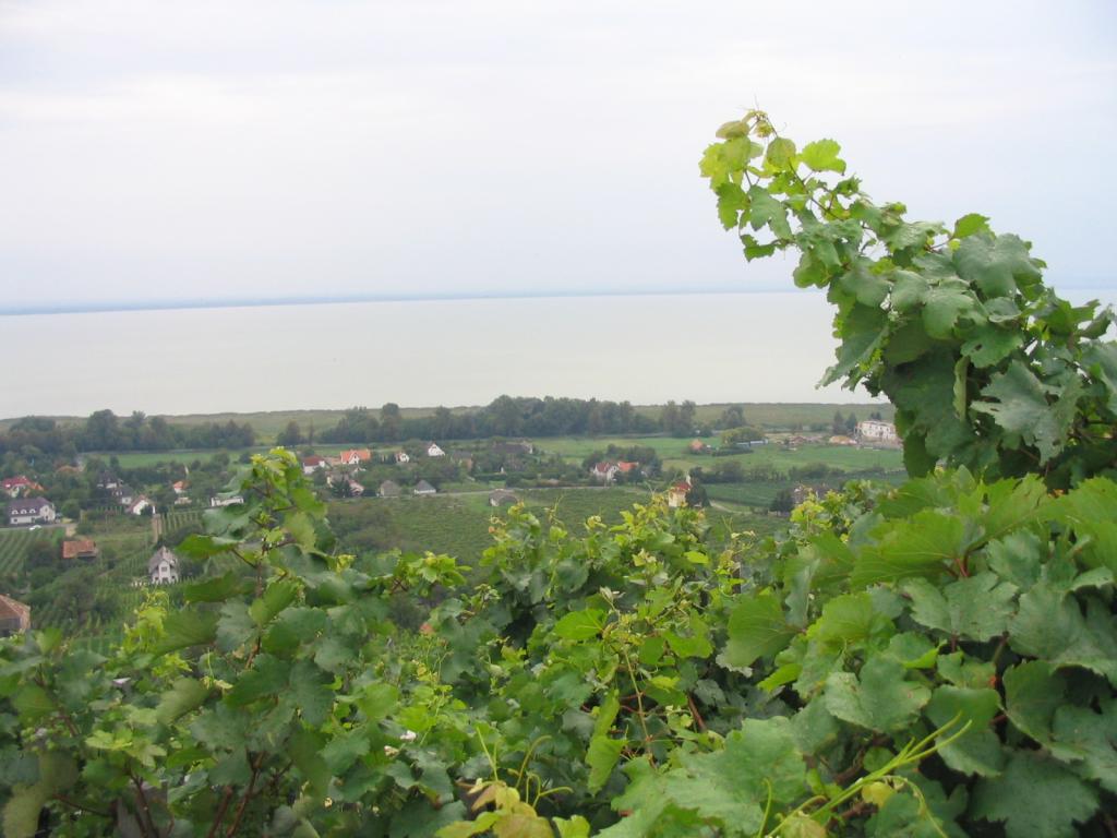 Kép 147.jpg