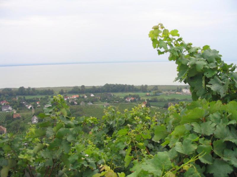 Kép 147.jpg
