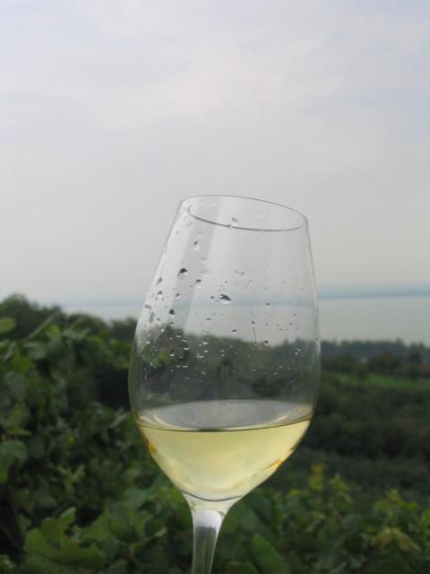 Kép 156.jpg