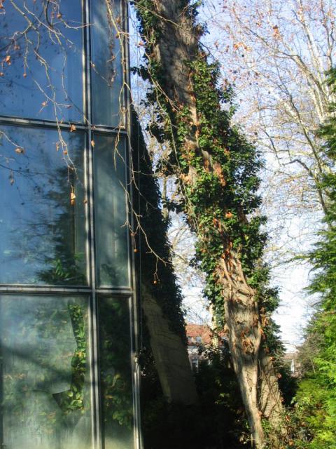 Kép 013.jpg