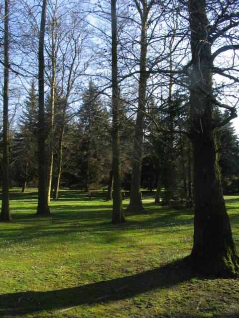 Kép 021.jpg