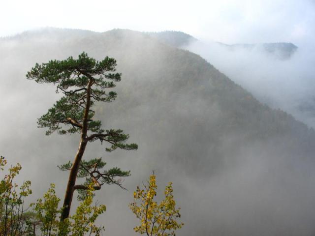 1009 051.jpg