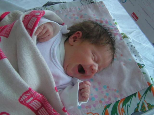 PICT5355.JPG