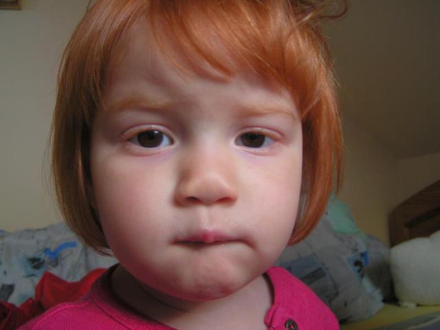 PICT5365.JPG